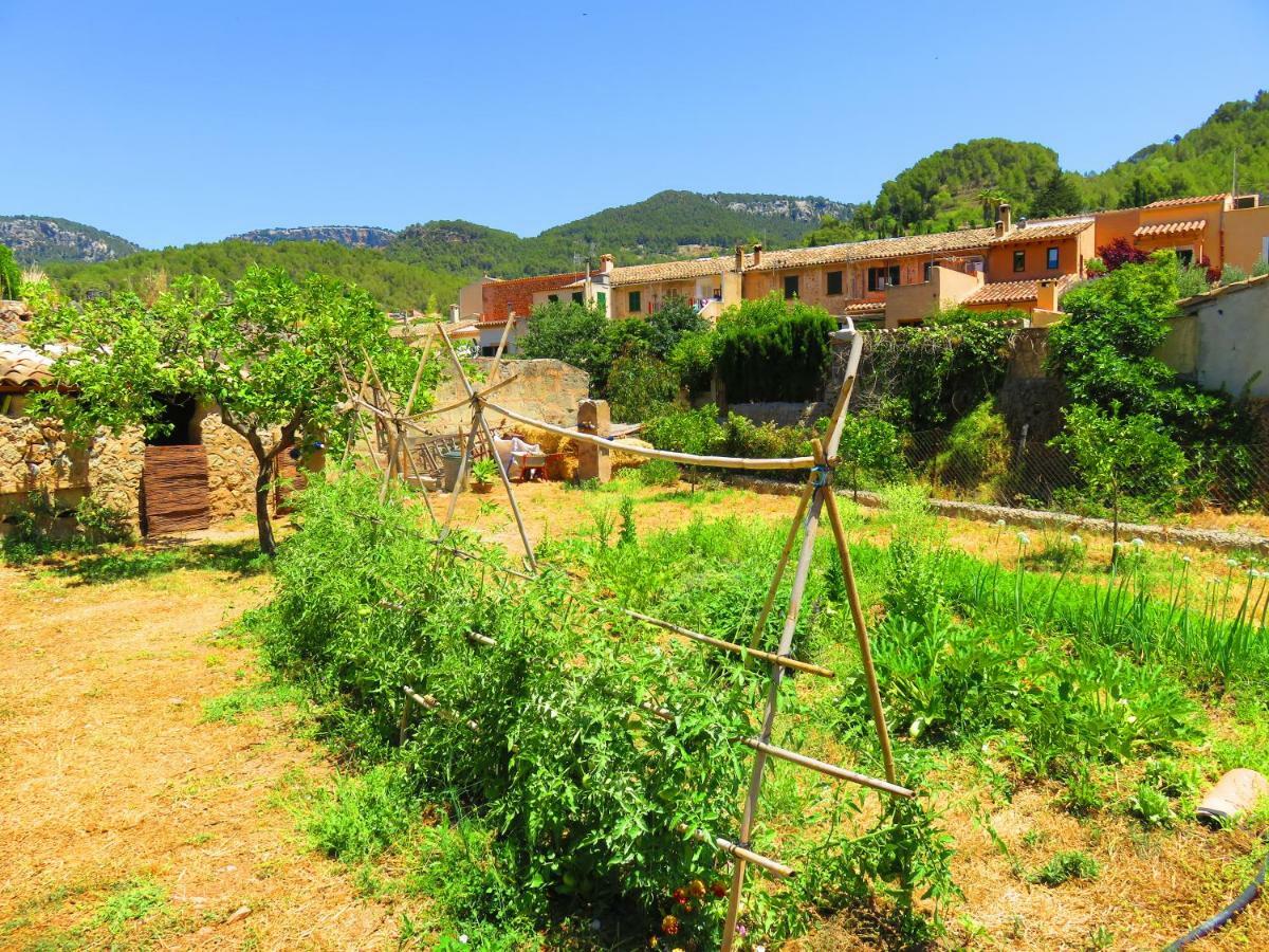 Sa Fita Backpackers - Albergue Juvenil Esporles Extérieur photo